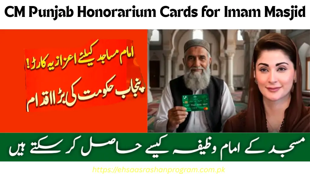 CM Punjab Honorarium Cards